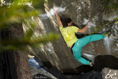 Mischa in "Red Roses"